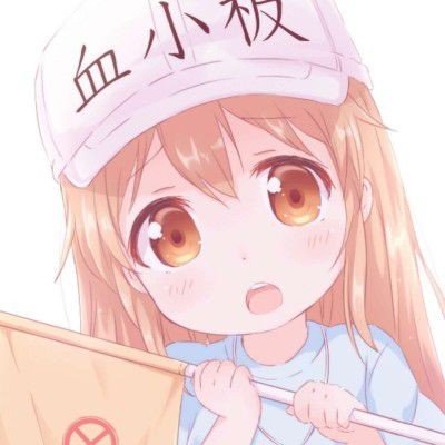 智谱大涨20%